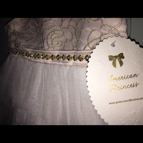 A beautiful American Princess Dress - Picture 4 of 8
